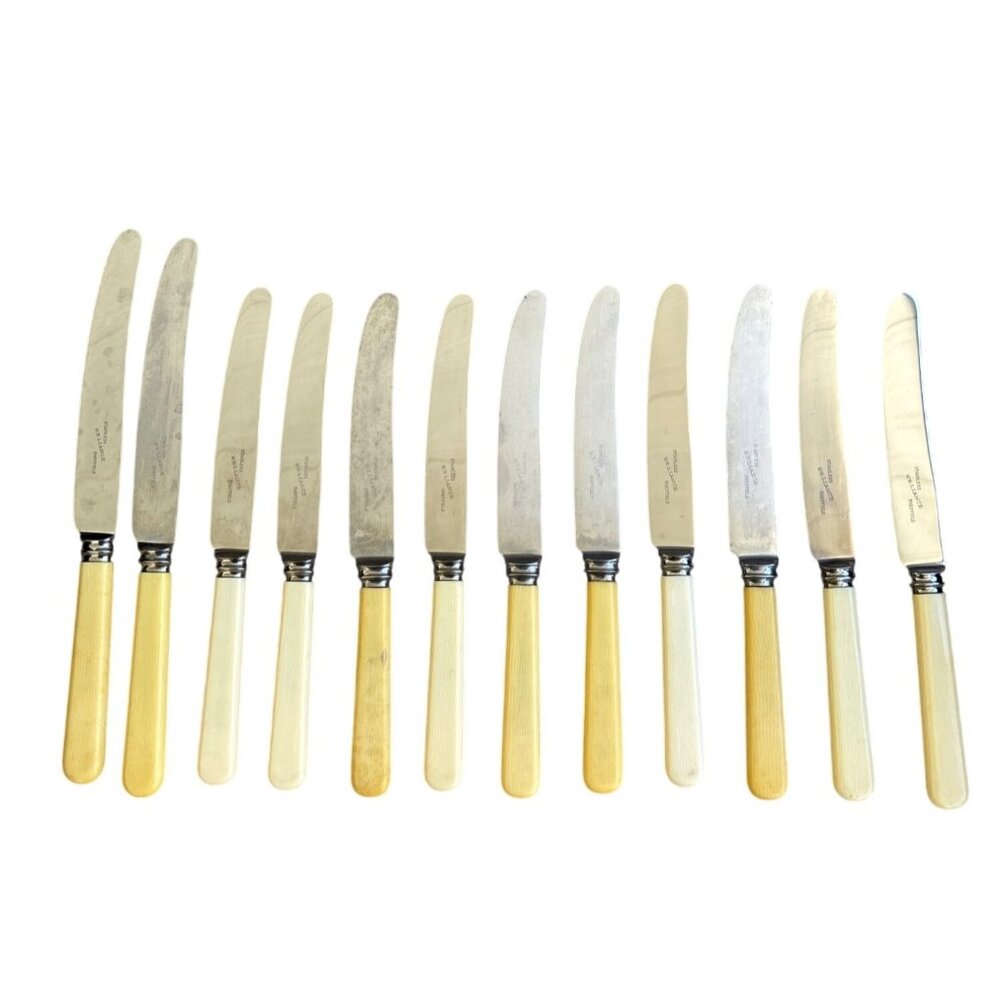 Frank & Co Sheffield England Reliance Knives‎ Stanless Steel Cutlery Celluloid